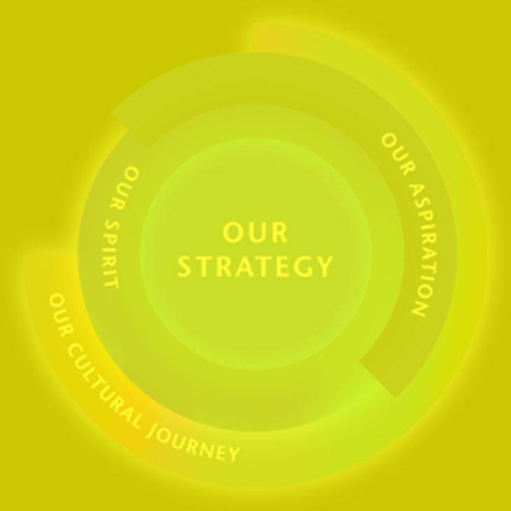 Our Strategy